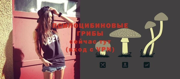 стаф Козельск