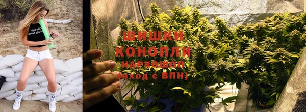 каннабис Корсаков