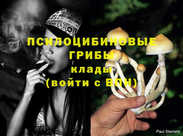 гашишное масло Костерёво