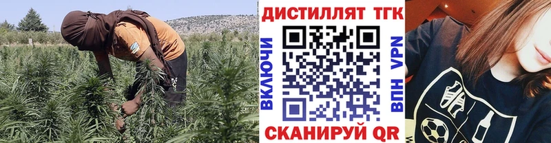ТГК Wax  где купить наркотик  Циолковский 